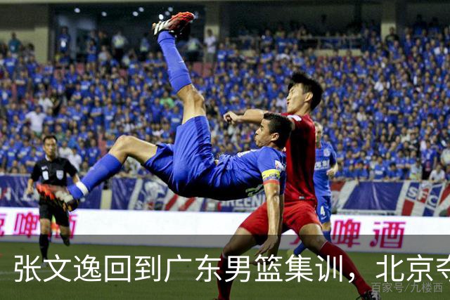 张文逸回到广东男篮集训，北京夺冠功勋确定退役，上海欲续约弗格